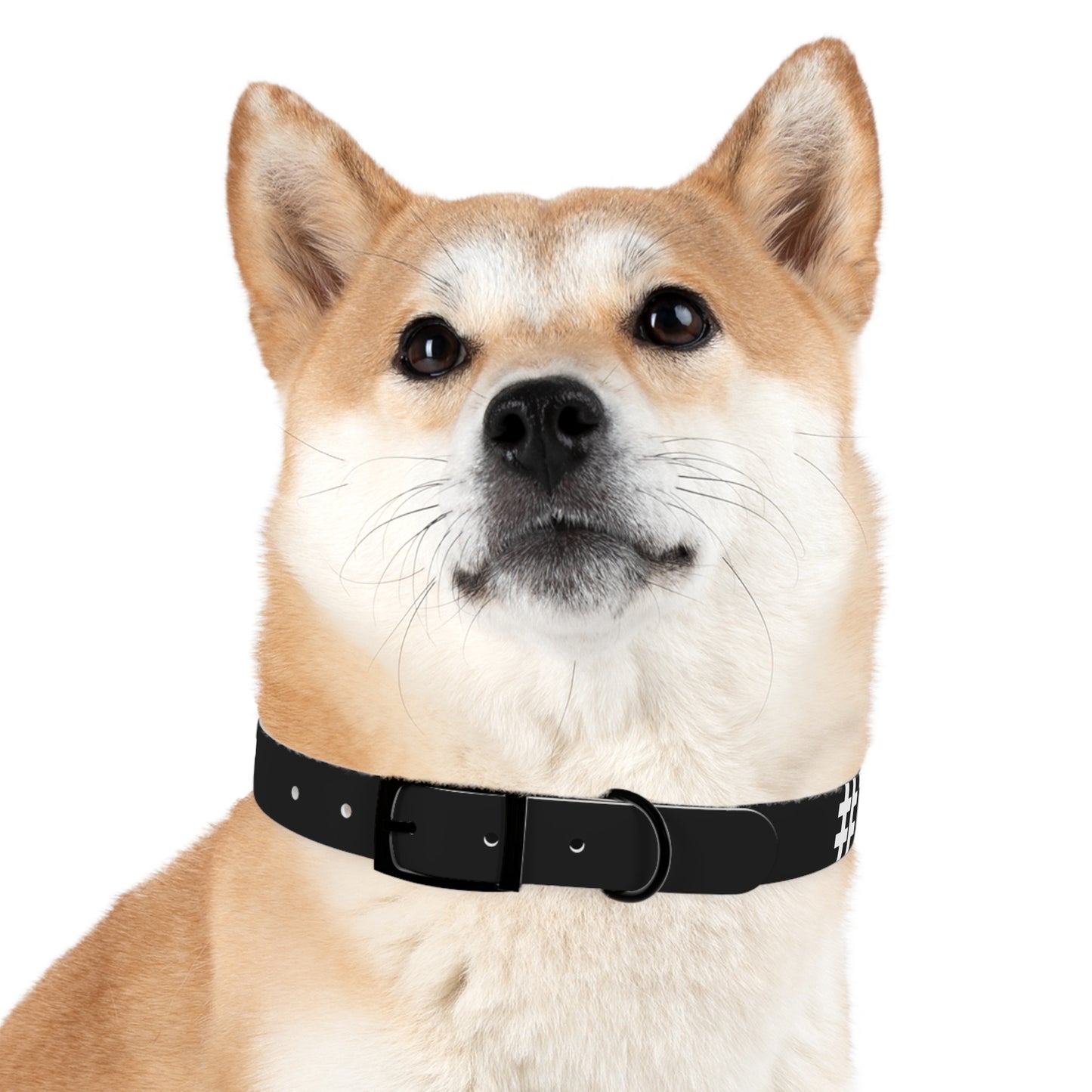 Stylish Custom Dog Collar - Personalized Pet Accessory with Bold Design