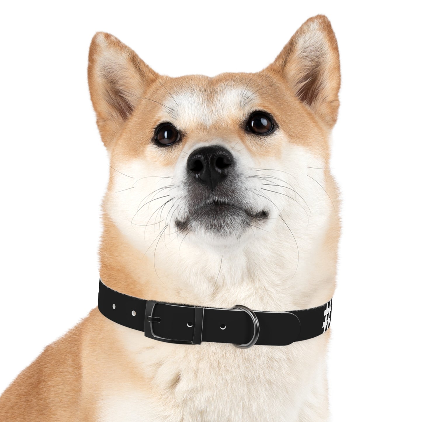 Stylish Custom Dog Collar - Personalized Pet Accessory with Bold Design