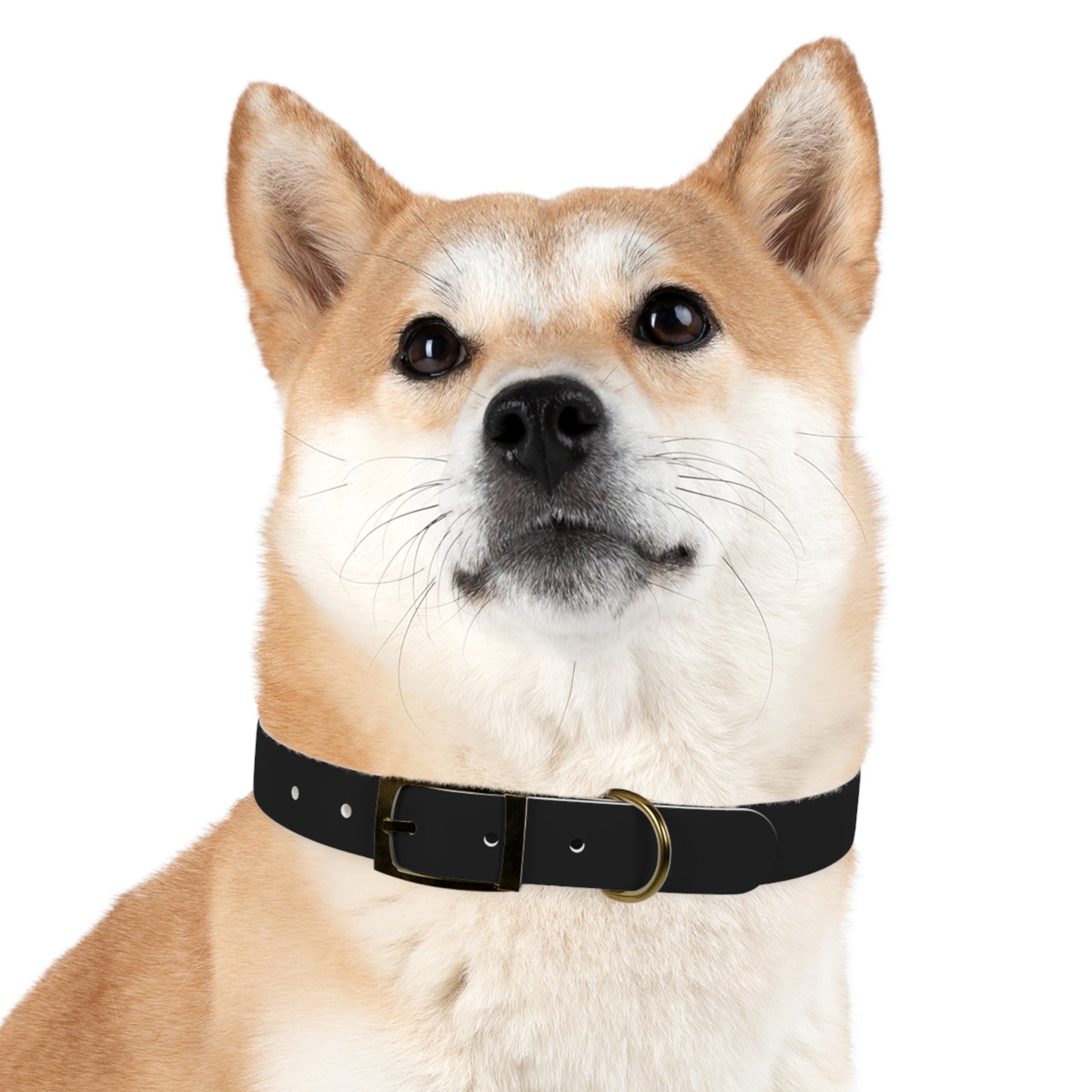 Stylish Custom Dog Collar - Personalized Pet Accessory with Bold Design
