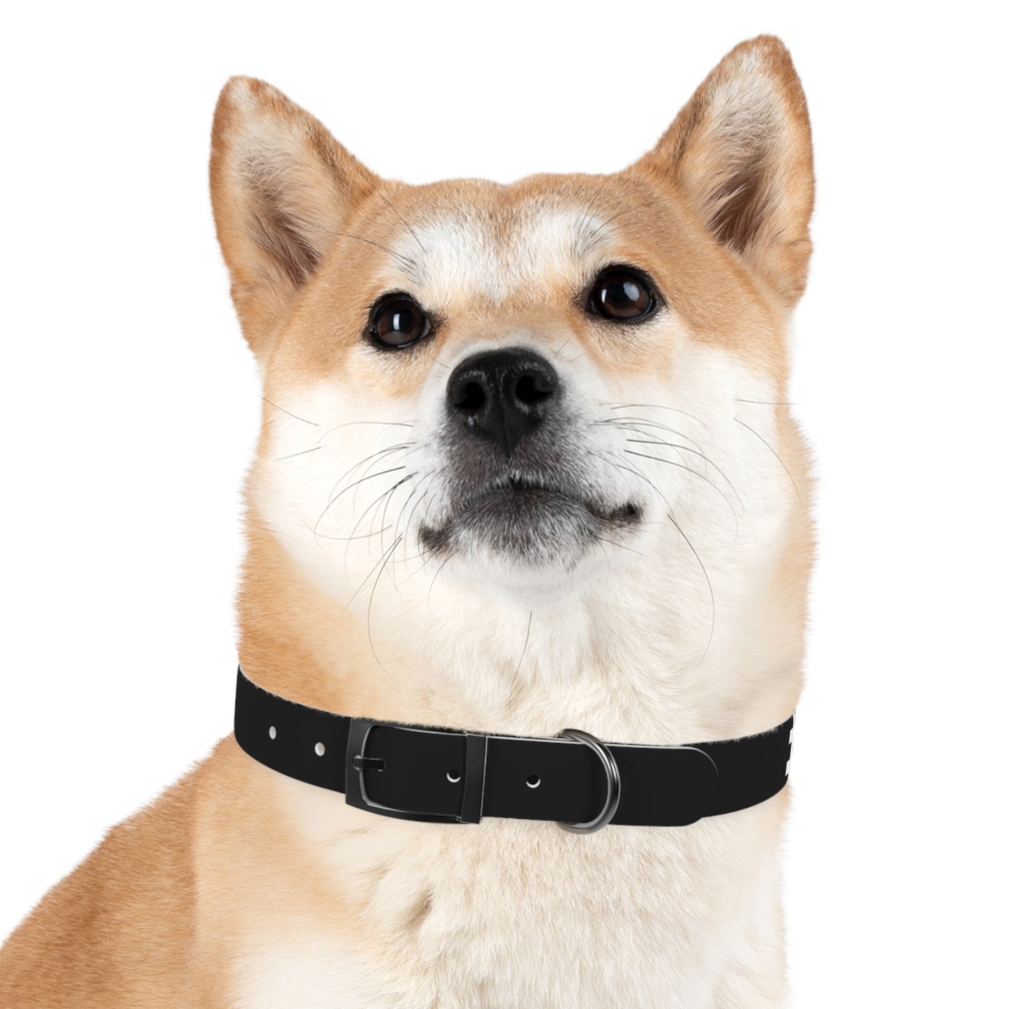 Stylish Custom Dog Collar - Personalized Pet Accessory with Bold Design