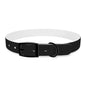 Stylish Custom Dog Collar - Personalized Pet Accessory with Bold Design